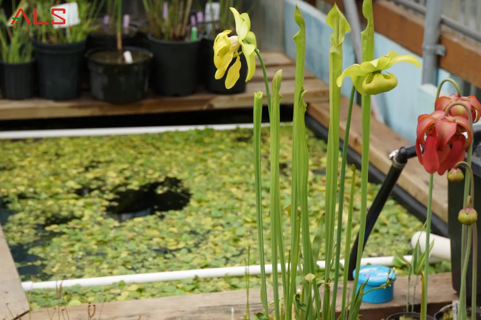 Architectural Landscape Supply - Photo 3
