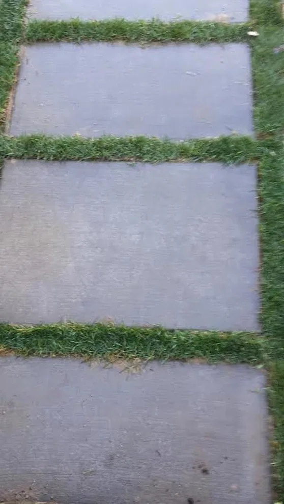 Landscaping and Retaining Structures by Variety Construction Co - Photo 3