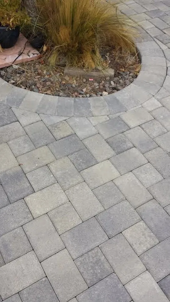 Landscaping and Retaining Structures by Variety Construction Co - Photo 2