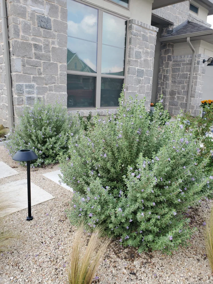 Landscape Design Implementation by BioScapes LLC - Photo 19