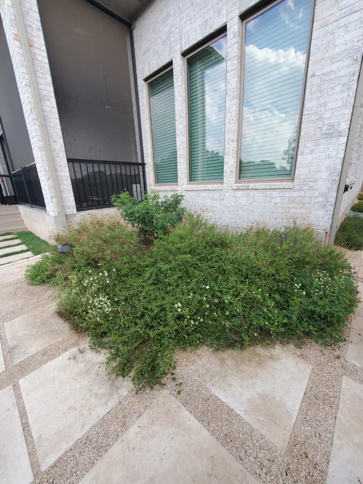 Landscape Design Implementation by BioScapes LLC - Photo 8