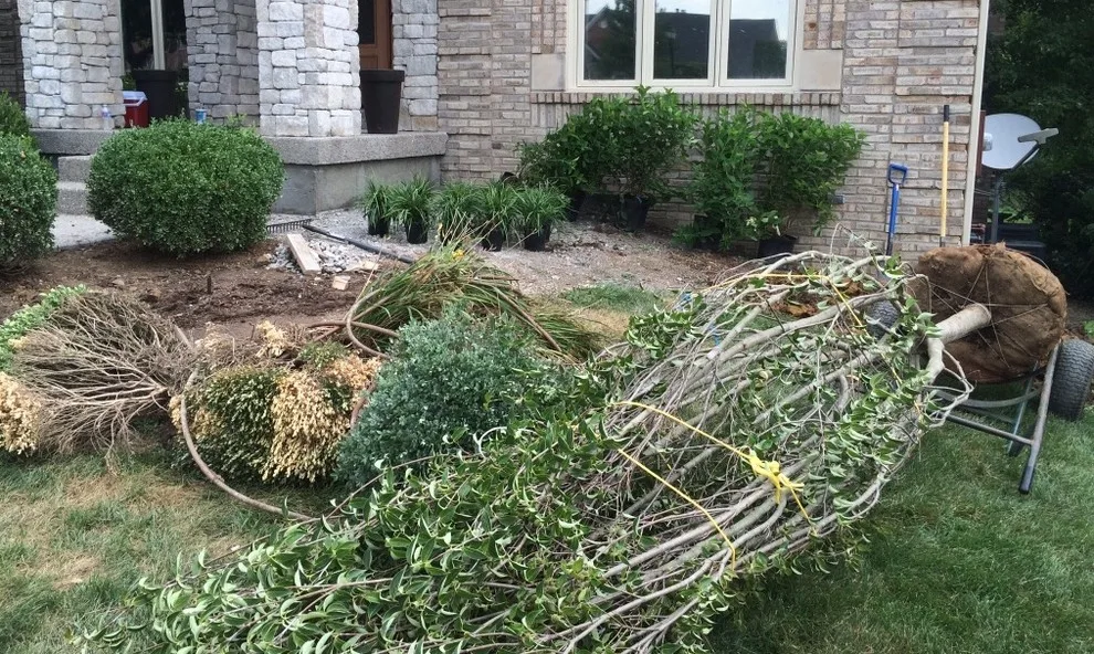 Landscape Projects Then and Now by Advanced Grounds Maintenance, LLC - Photo 3