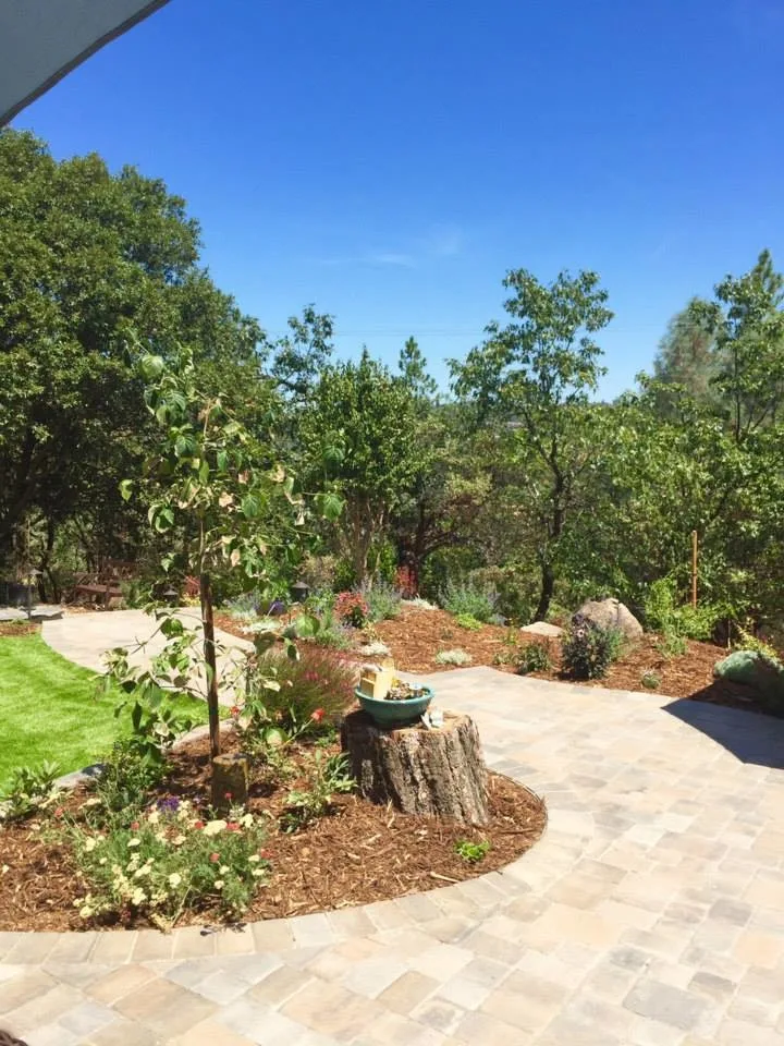 Hillstone Landscape And Grading - Photo 13