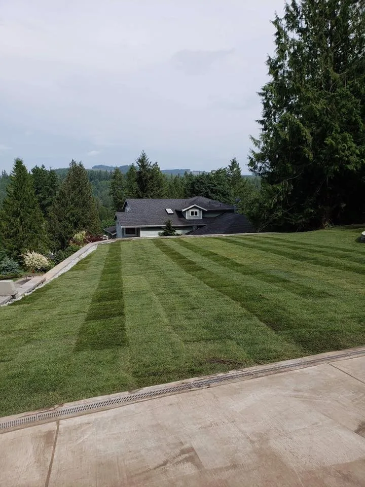 IPros Landscaping & Construction Division - Photo 6