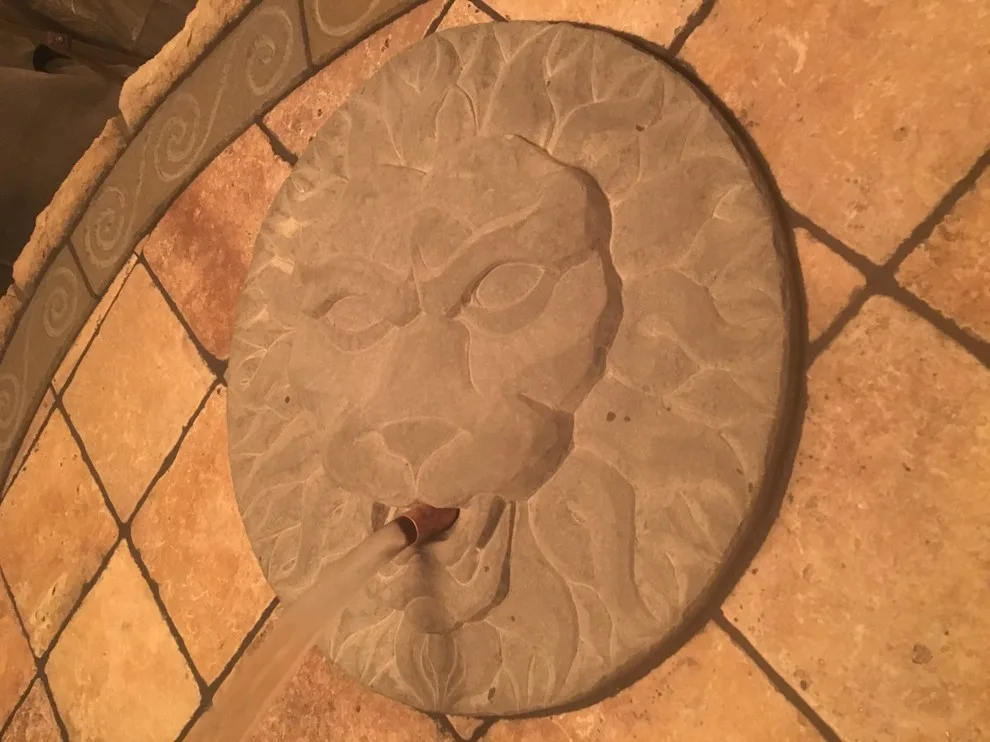 Lion's Portal by Nature's Touch - Photo 2
