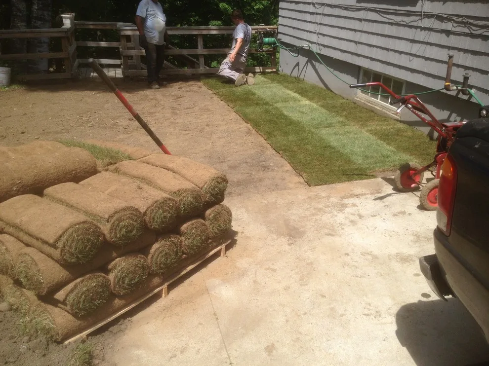 Small Turf Task by Maple Creek Landworks LLC - Photo 3