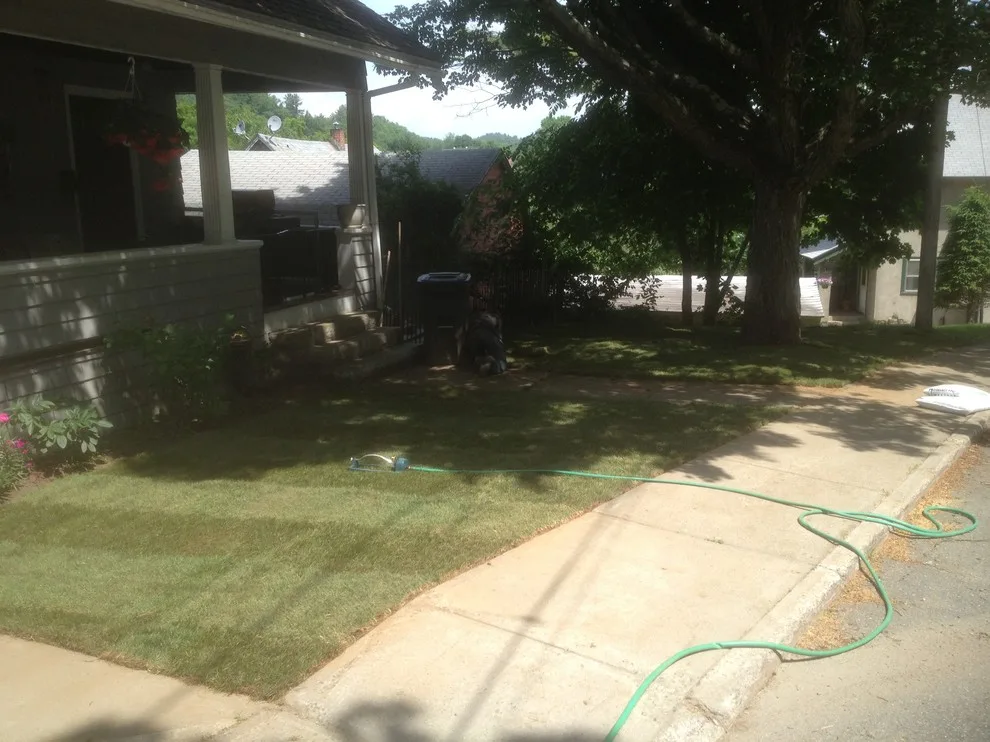 Small Turf Task by Maple Creek Landworks LLC - Photo 2