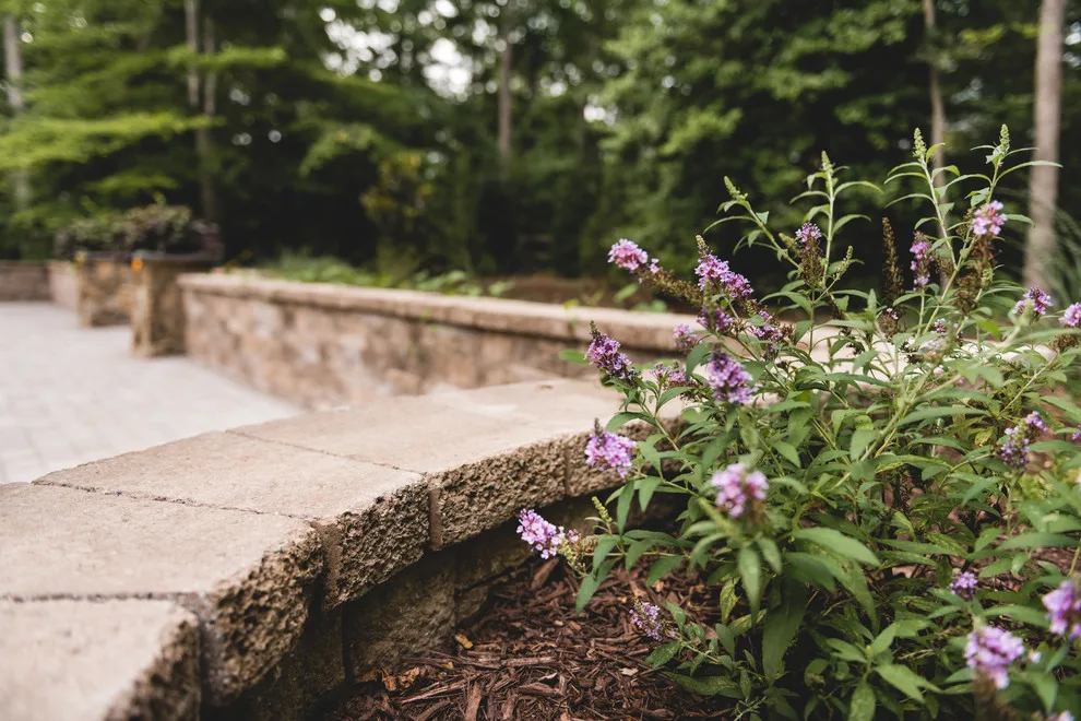 Tuckahoe Valley Initiative by Glen Allen Grounds Management, LLC - Photo 10