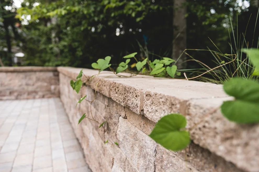 Tuckahoe Valley Initiative by Glen Allen Grounds Management, LLC - Photo 40