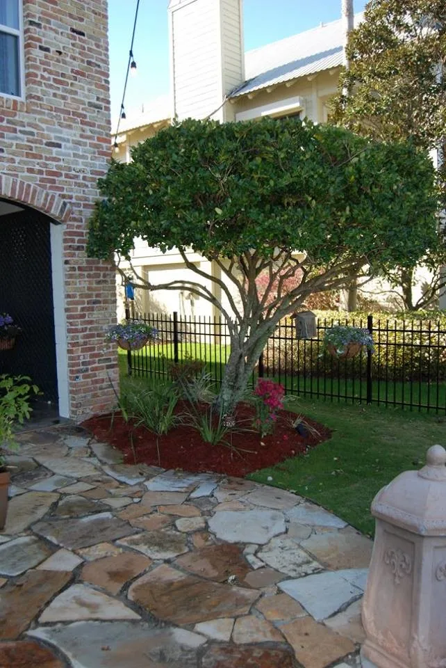 Exterior Patio and Deck Solutions by Stepping On Stones - Photo 6