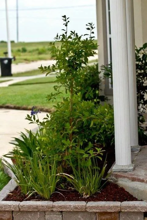 Personalized Garden Planters by Stepping On Stones - Photo 3