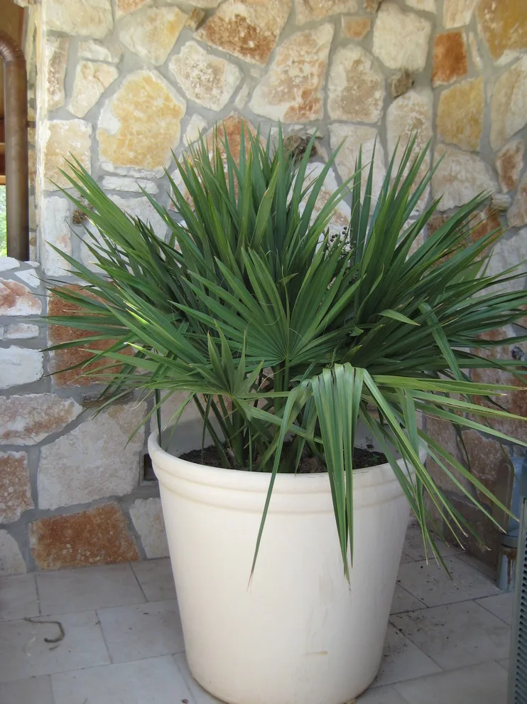 Lakeside View Open Backyard Design by Marula Landscape & Design - Photo 5