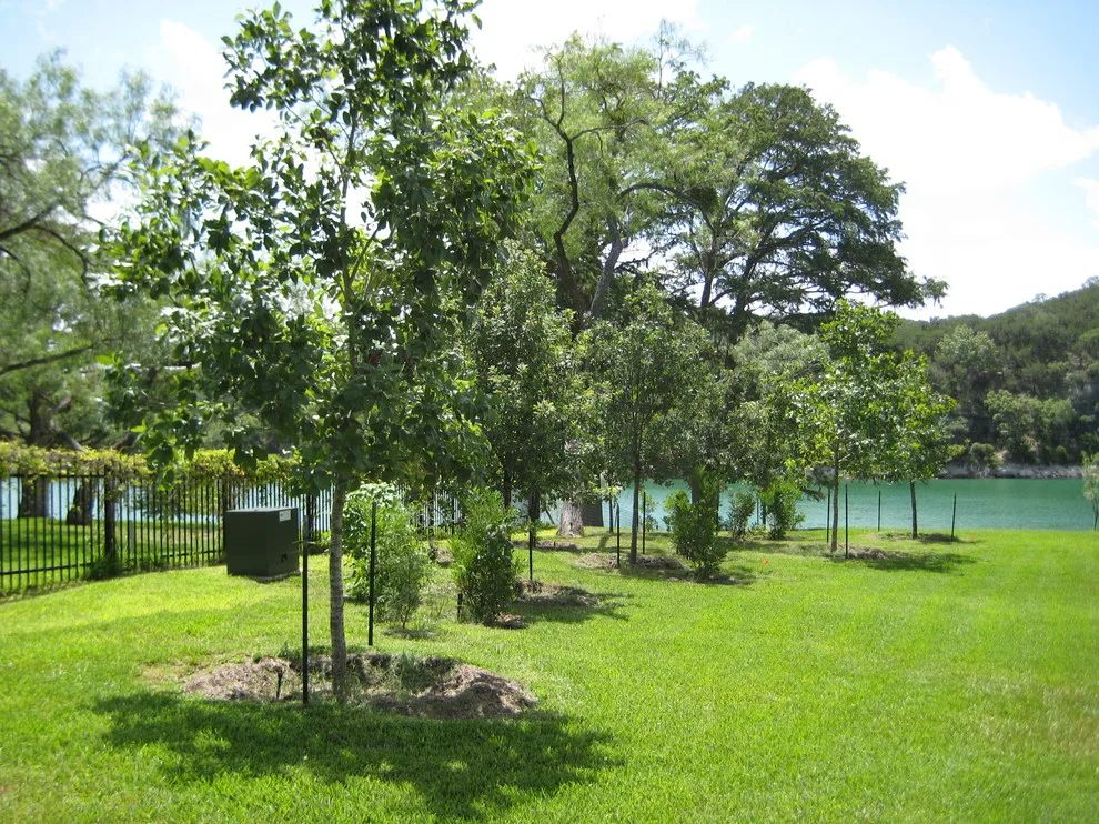 Lakeside View Open Backyard Design by Marula Landscape & Design - Photo 2