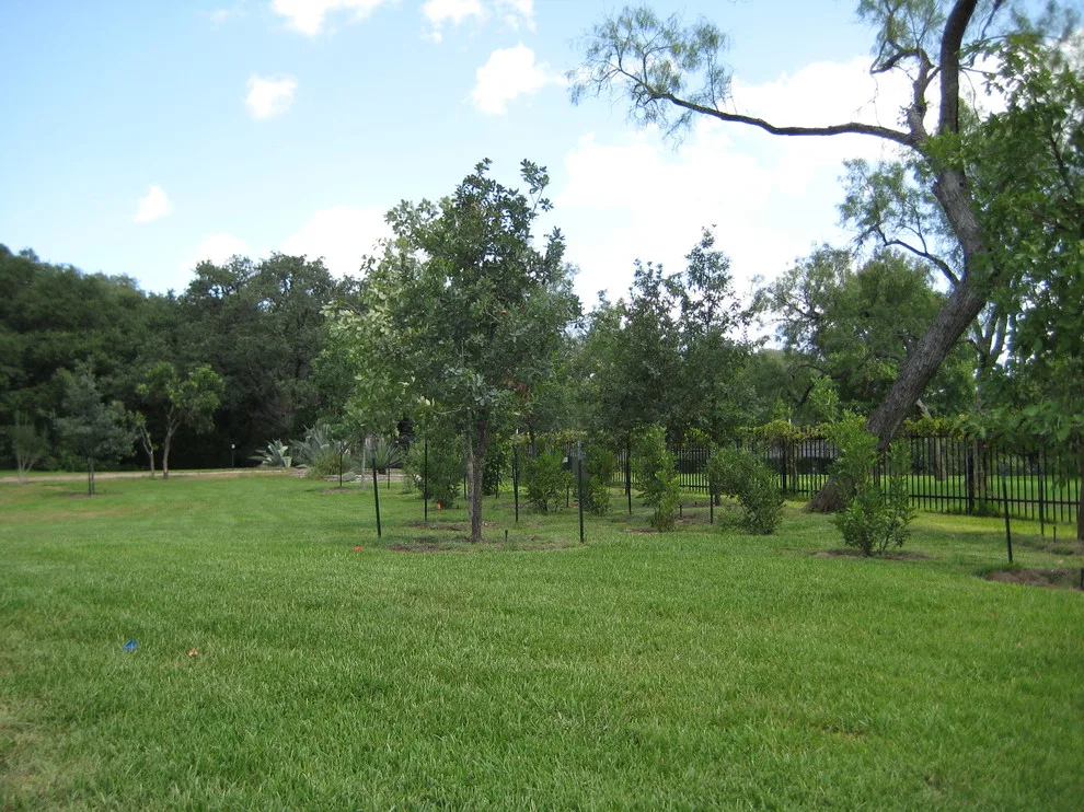 Marula Landscape & Design - Photo 4