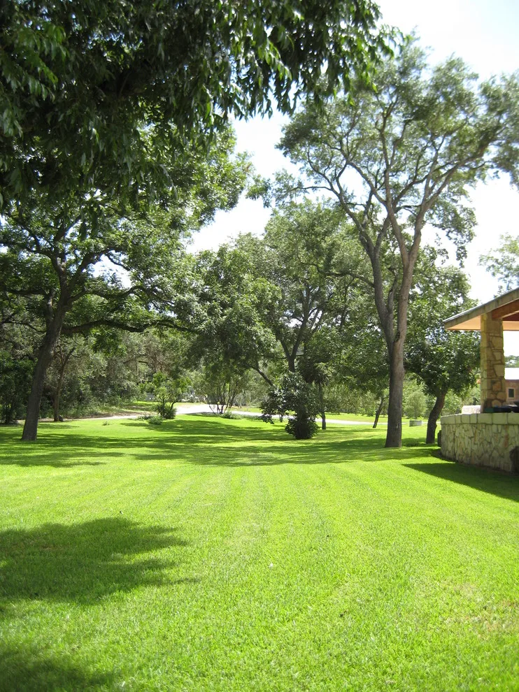 Lakeside View Open Backyard Design by Marula Landscape & Design - Photo 8