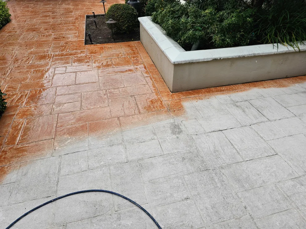 Our Efforts by Bully Dog Floor Coatings - Photo 38