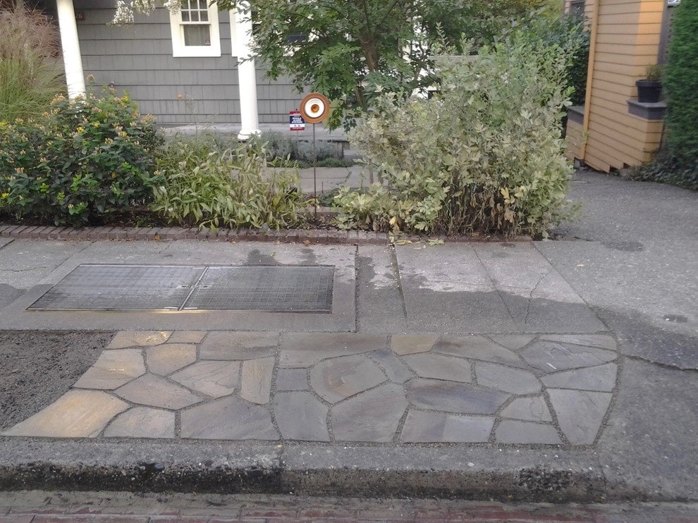 Lawn to Luxe by The Peoples Gardening Collective - Photo 10