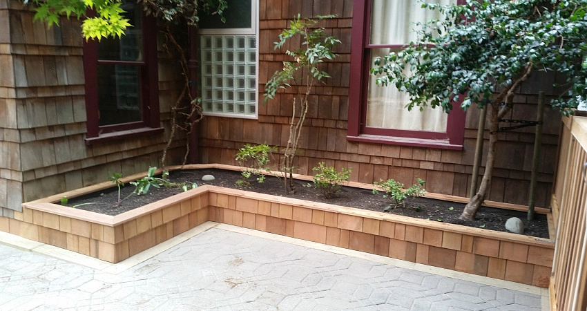 Wooden It Be Lovely? by The Peoples Gardening Collective - Photo 8