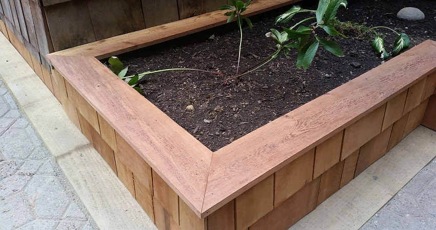 Wooden It Be Lovely? by The Peoples Gardening Collective - Photo 7