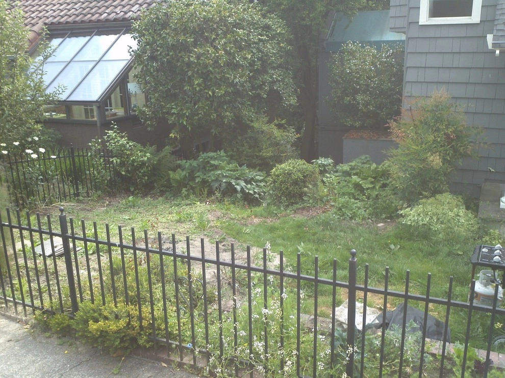 Lawn to Luxe by The Peoples Gardening Collective - Photo 6