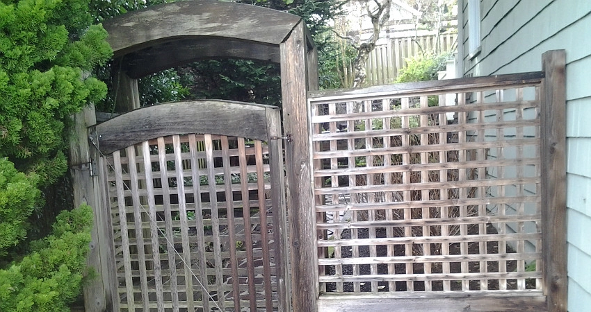 Garden Rebuild by The Peoples Gardening Collective - Photo 4