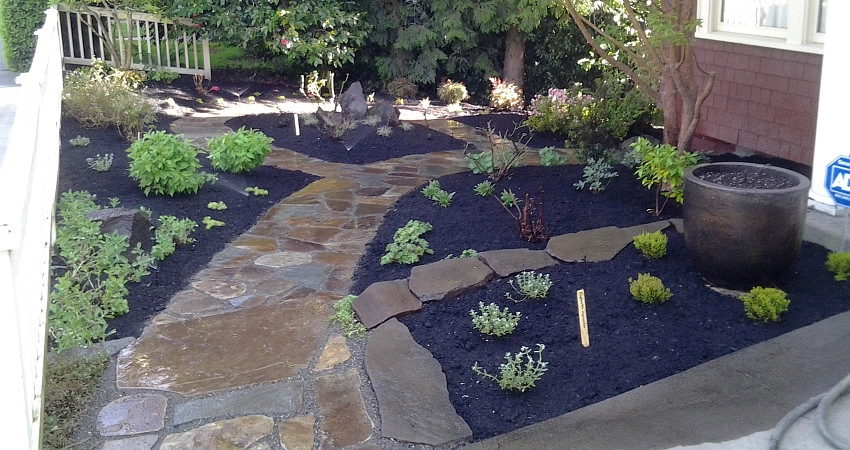 The Peoples Gardening Collective - Photo 10