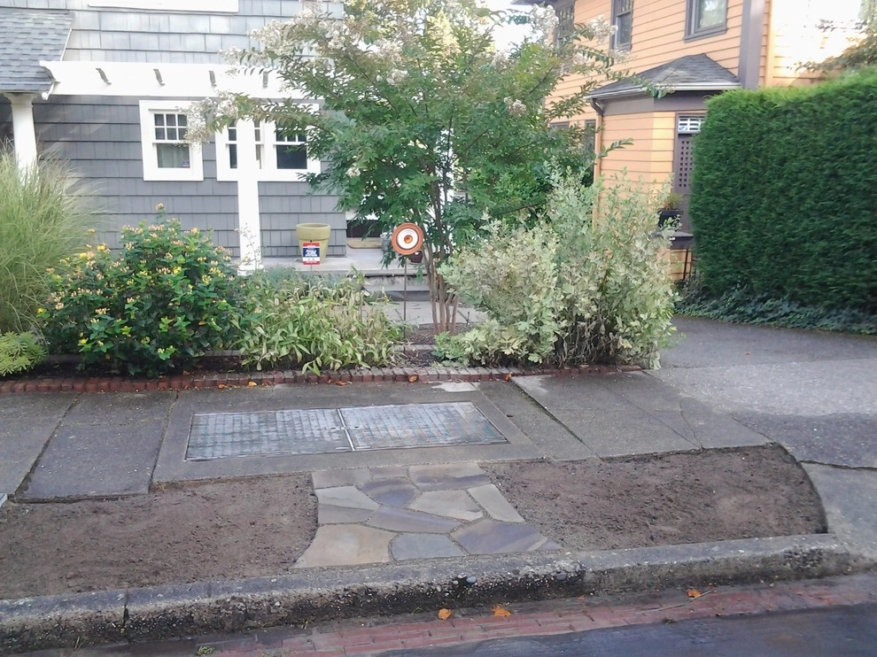 Lawn to Luxe by The Peoples Gardening Collective - Photo 2