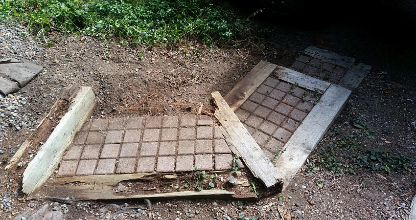 The Peoples Gardening Collective - Photo 8