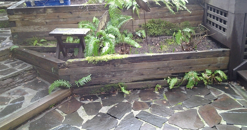 The Peoples Gardening Collective - Photo 11