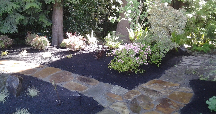 Water and Stone by The Peoples Gardening Collective - Photo 8