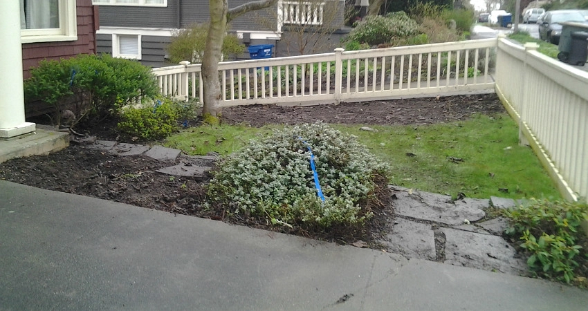 Water and Stone by The Peoples Gardening Collective - Photo 2