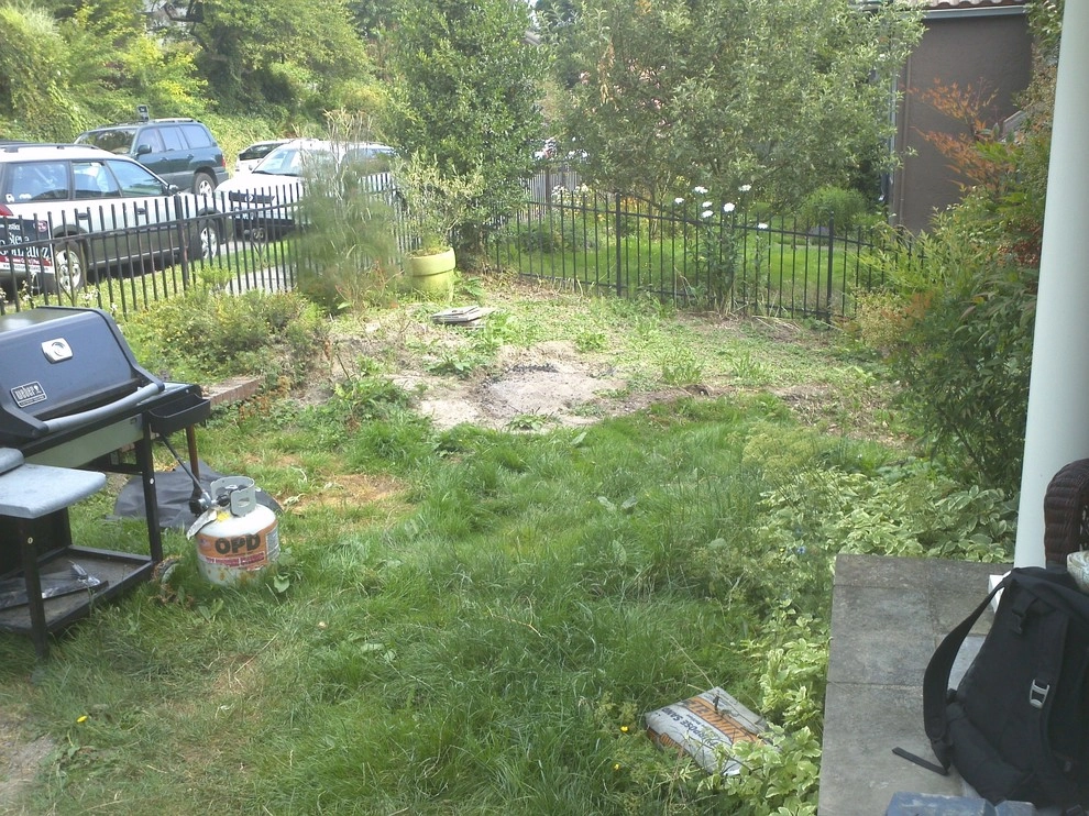Lawn to Luxe by The Peoples Gardening Collective - Photo 4