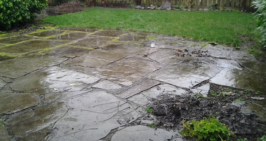 The Peoples Gardening Collective - Photo 6