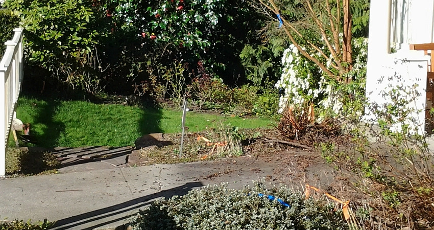 Water and Stone by The Peoples Gardening Collective - Photo 5