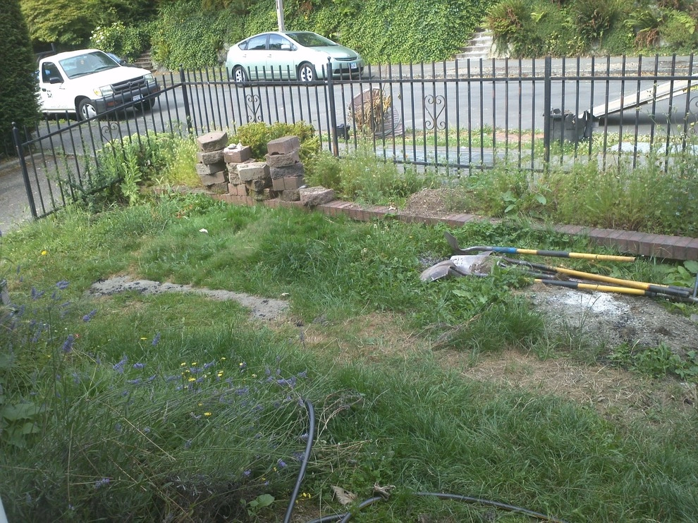 The Peoples Gardening Collective - Photo 3