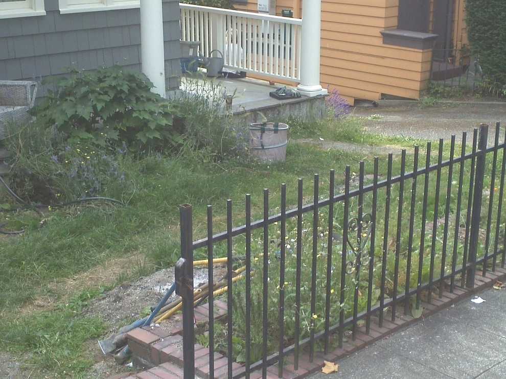 Lawn to Luxe by The Peoples Gardening Collective - Photo 8