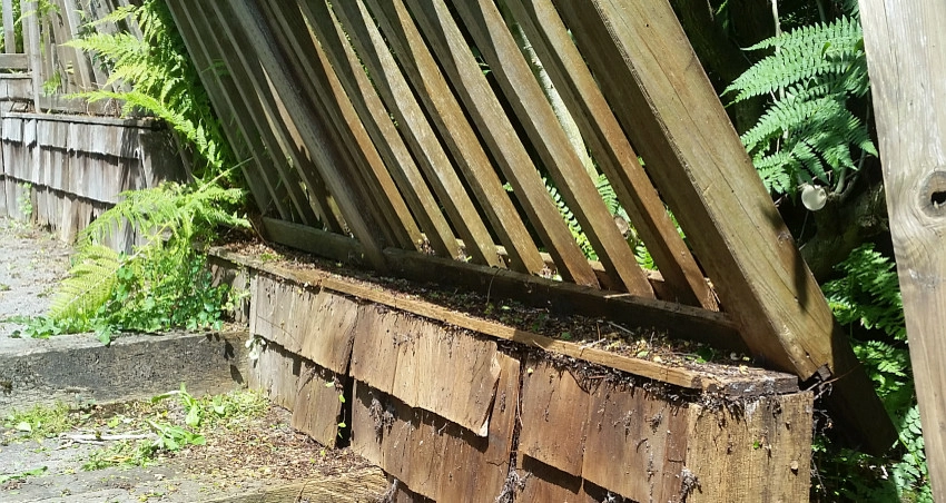 Wooden It Be Lovely? by The Peoples Gardening Collective - Photo 3