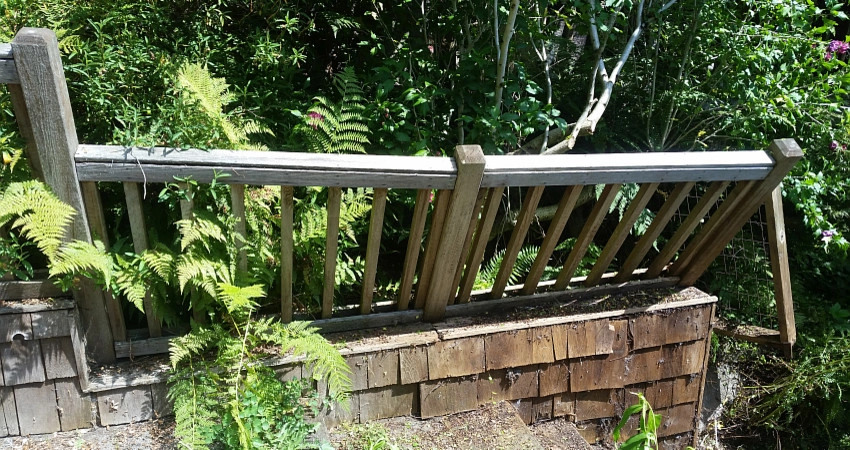 The Peoples Gardening Collective - Photo 2