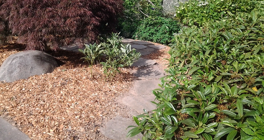 Yard Clean Up by The Peoples Gardening Collective - Photo 3