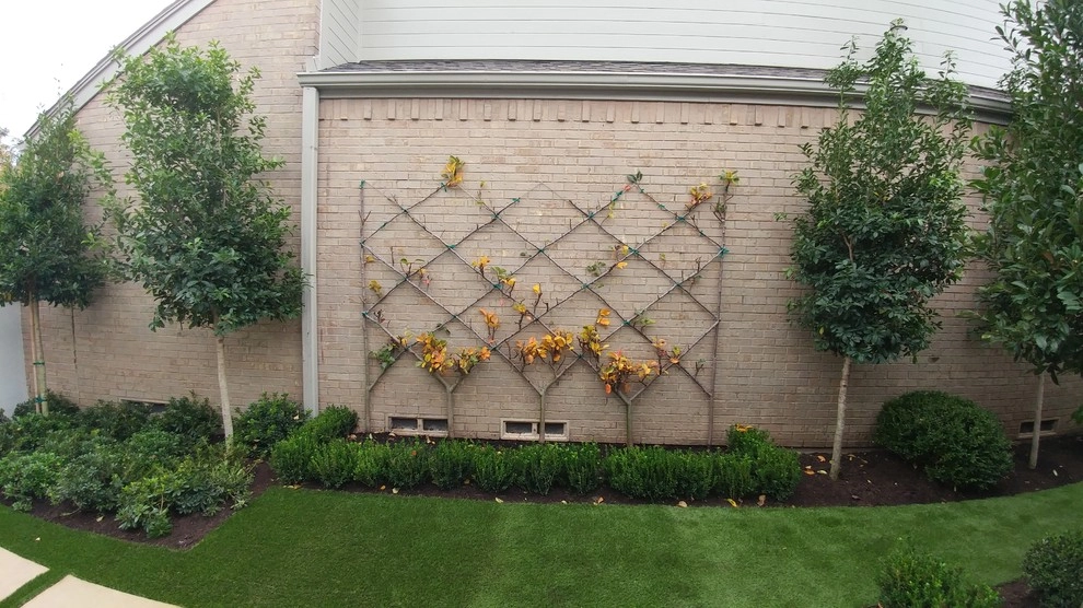 Simple French by The Plant Concierge - Photo 2