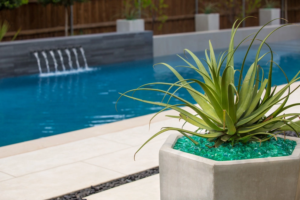 Southlake Modern by The Plant Concierge - Photo 29