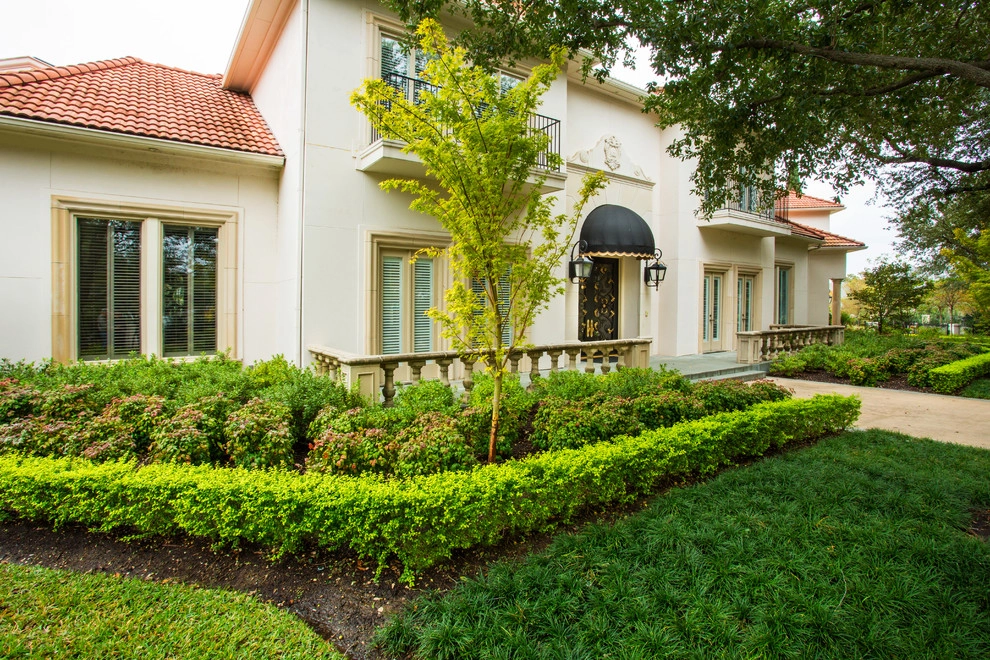 Preston Hollow Mediterranean by The Plant Concierge - Photo 11