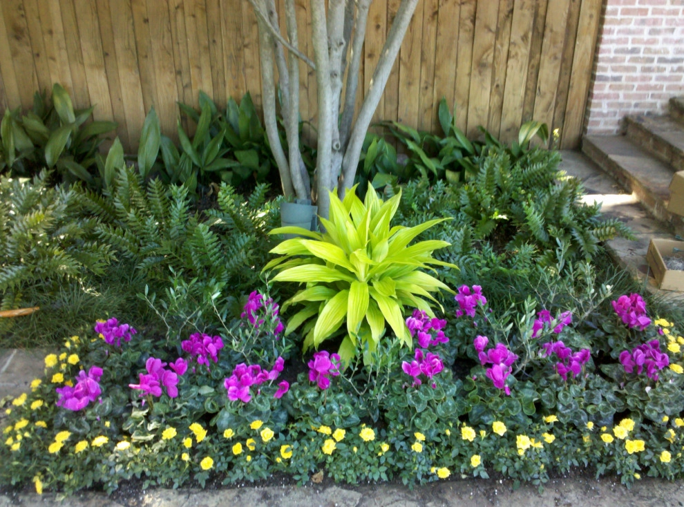 The Plant Concierge - Photo 3
