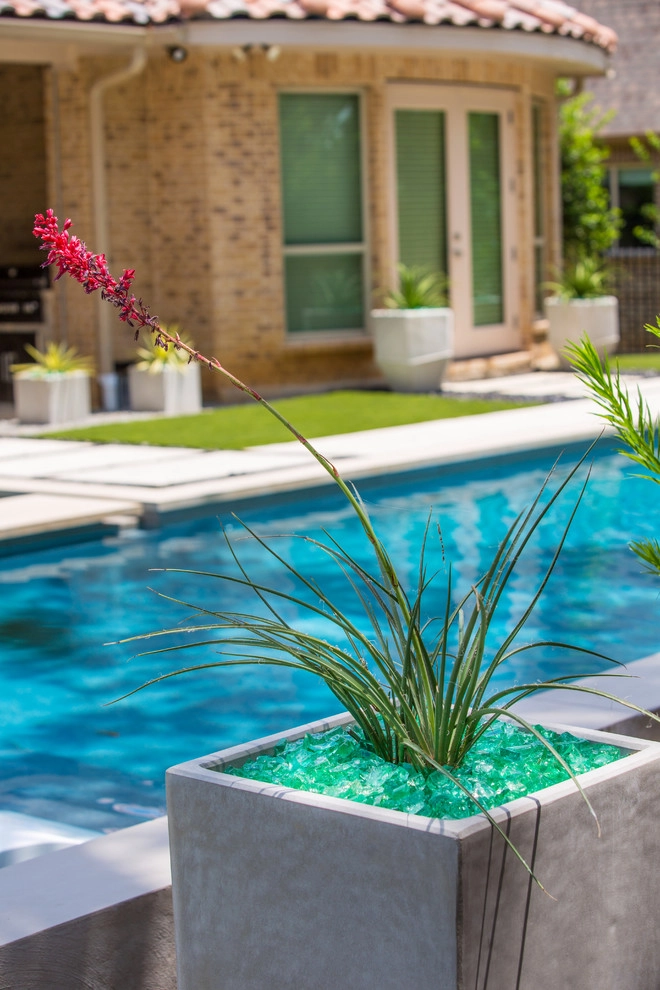 Southlake Modern by The Plant Concierge - Photo 36