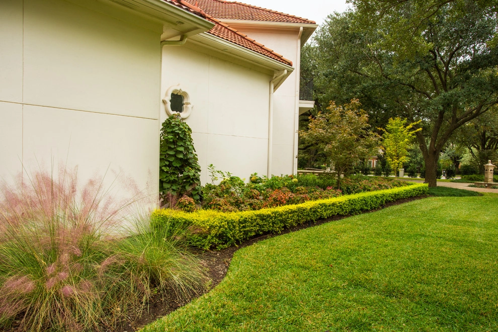 Preston Hollow Mediterranean by The Plant Concierge - Photo 9