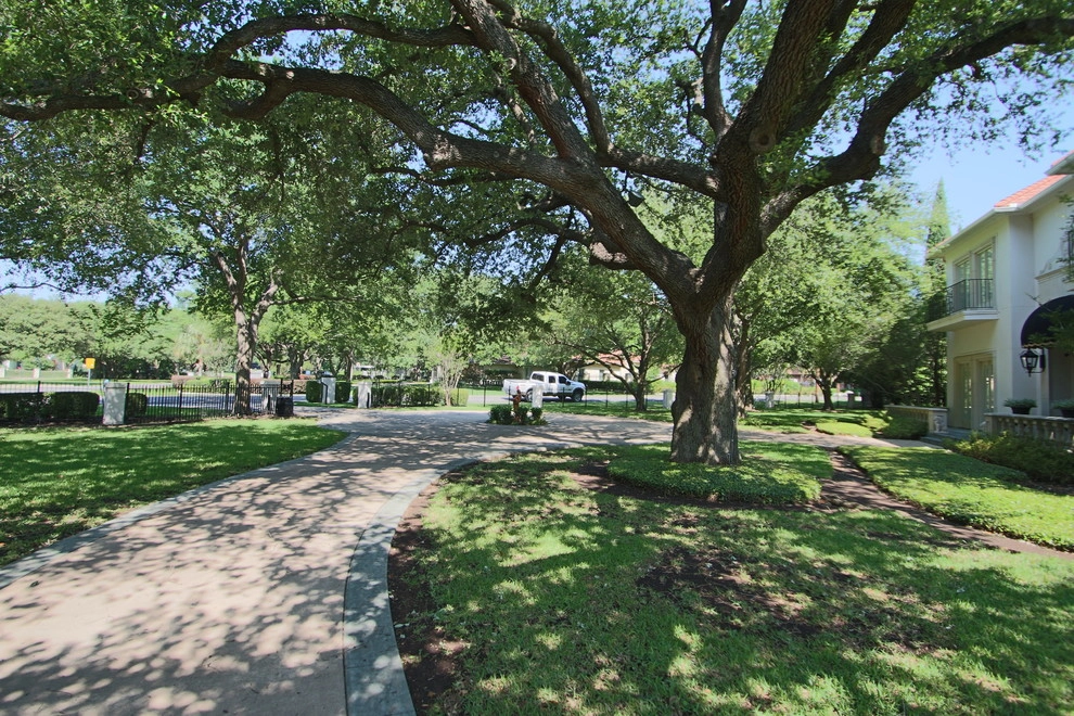 Preston Hollow Mediterranean by The Plant Concierge - Photo 10