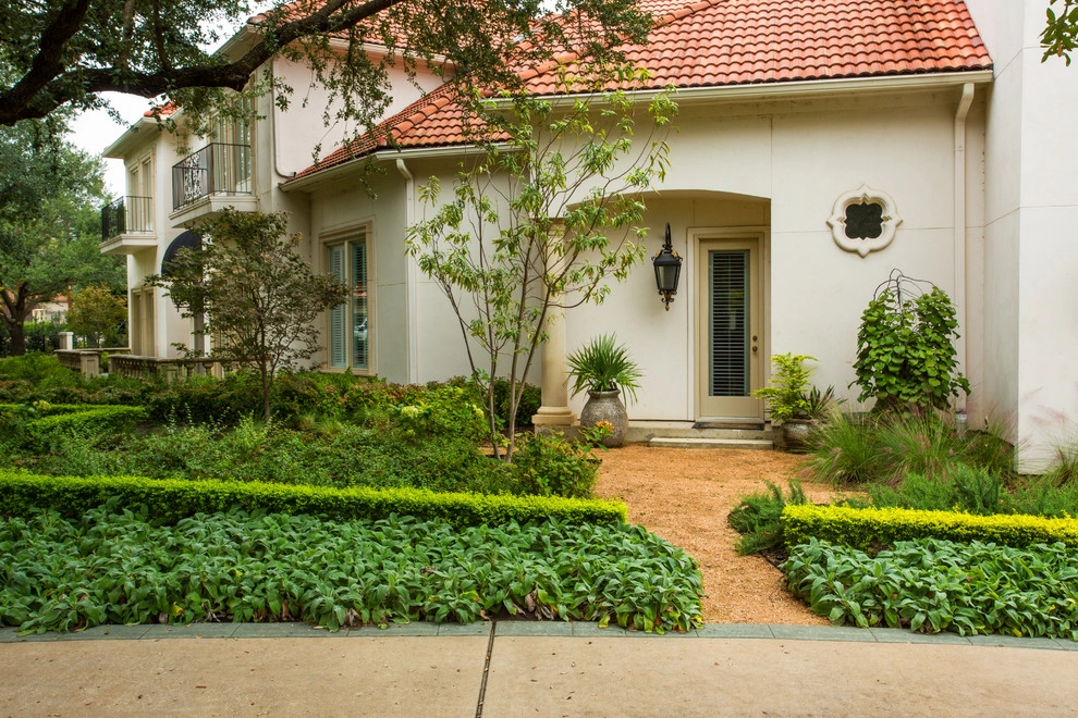 Preston Hollow Mediterranean by The Plant Concierge - Photo 7