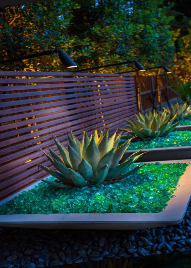Southlake Modern by The Plant Concierge - Photo 3