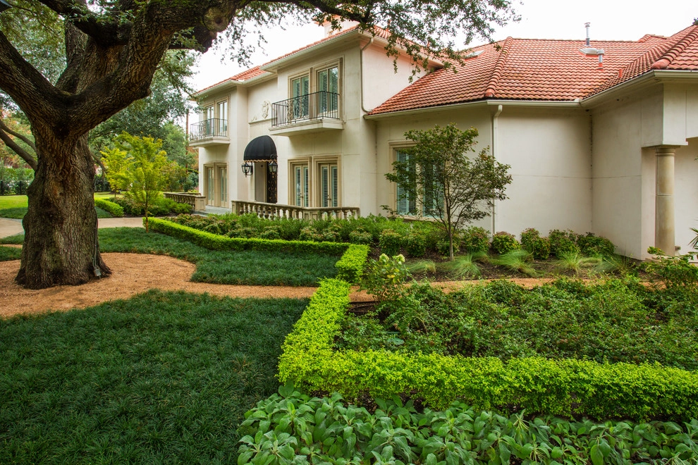 Preston Hollow Mediterranean by The Plant Concierge - Photo 12