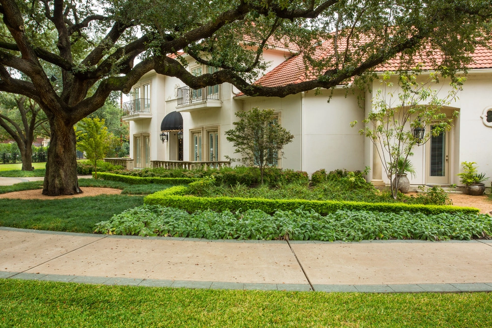Preston Hollow Mediterranean by The Plant Concierge - Photo 6